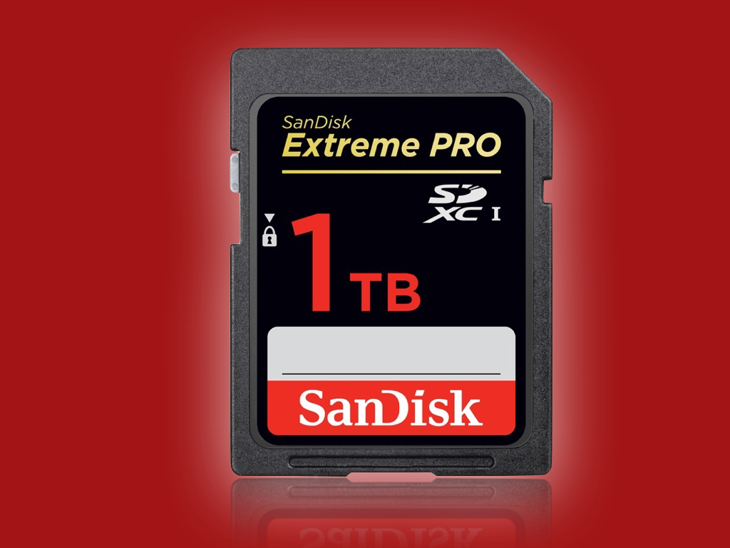 Sandisk.jpeg