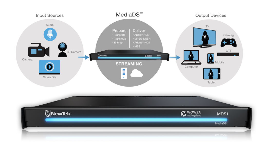 newtekMediaDS_SV.jpeg