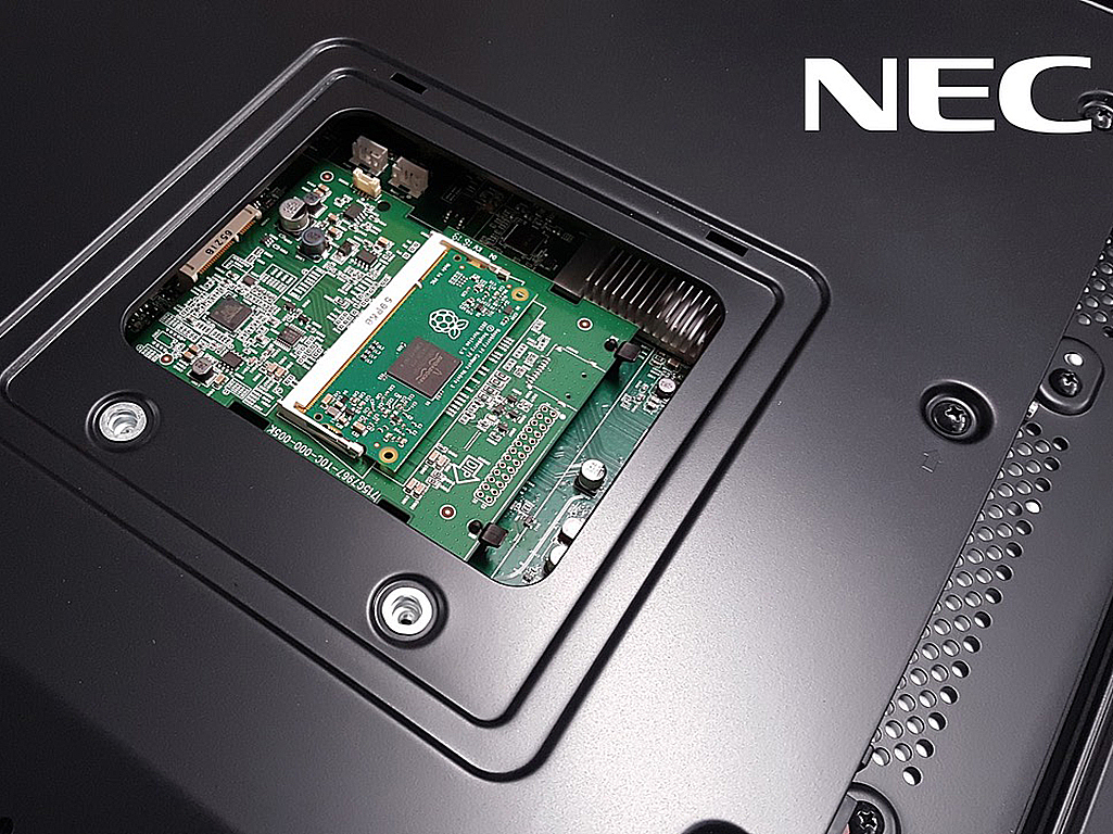 NEC_Raspberry.jpg