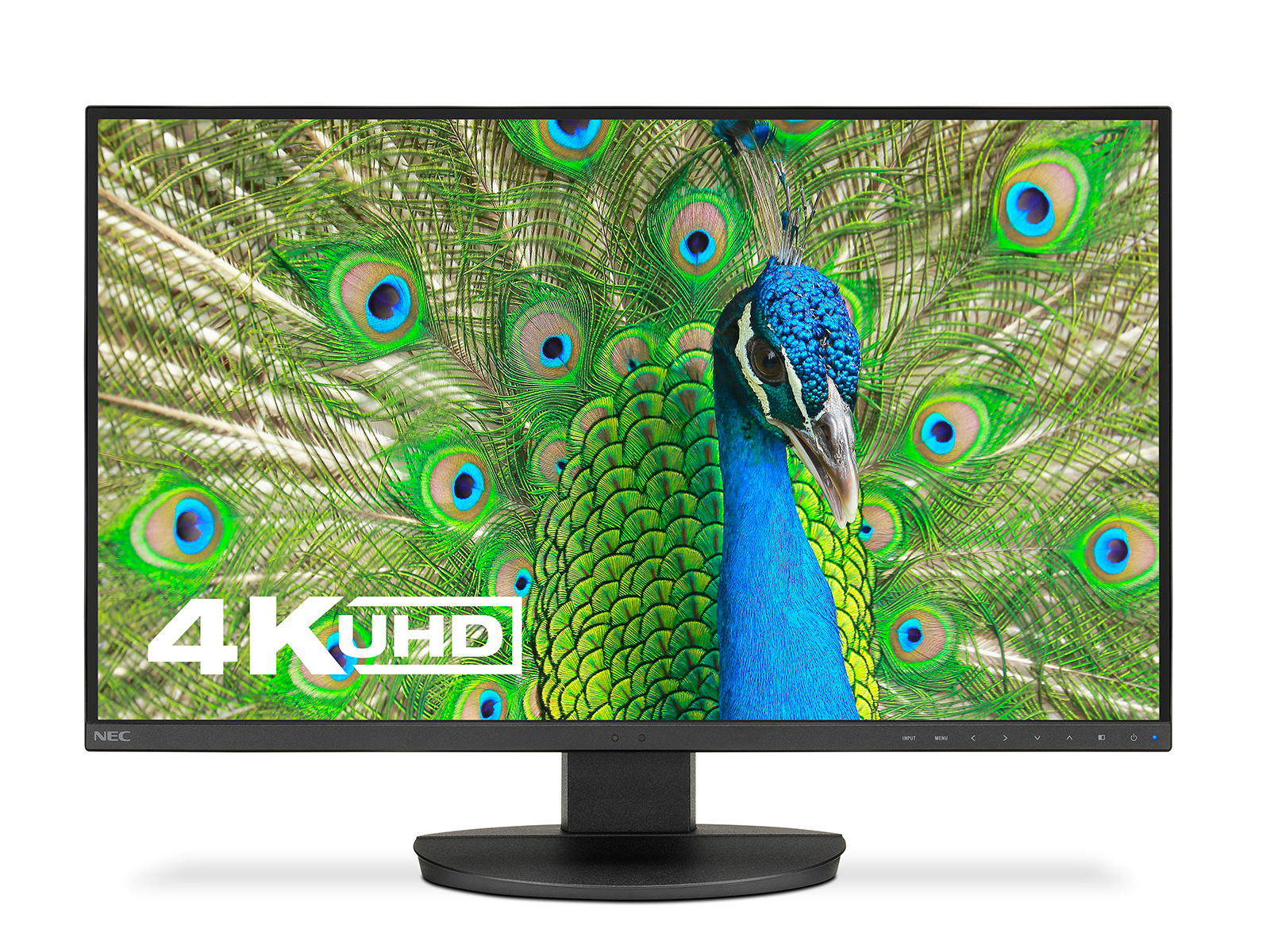 NEC_EA271U_BK_HO_4KUHD_peacock_1600x1200.jpg