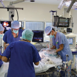 Imagemédia a sélectionné les caméras robotisées Panasonic Business pour une intervention chirurgicale unique © DR