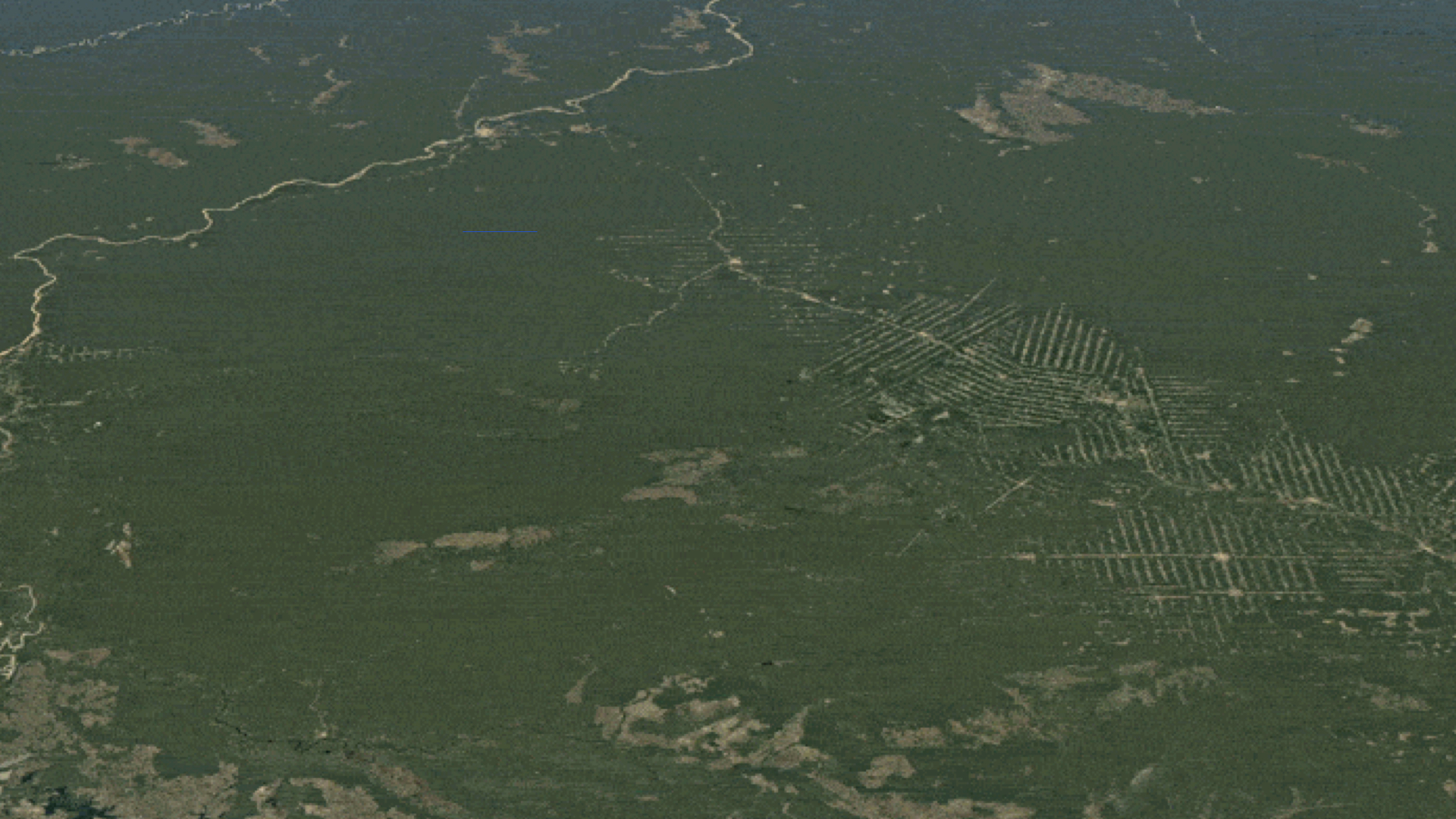 Observez la différence que le peuple Suruí a faite en protégeant la forêt amazonienne qu'il considère comme leur terre à Rondônia, Brésil © Google Earth
