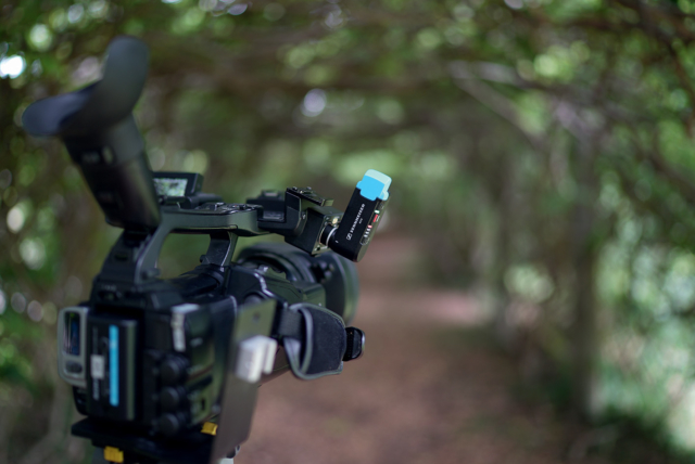 Le récepteur miniature Sennheiser AVX : compact et simple à utiliser, il utilise la plage des 1,9 GHz des téléphones DECT. © DR
