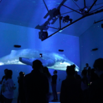 Vidéo mapping : L’hybride présente ses deux premiers programmes immersifs à Lille